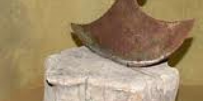 XVI LEGISLATURA, CAMERA DEI DEPUTATI, d.d.l. n° 4829 C