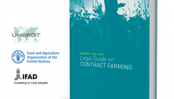 Contract farming arrangements - Agricultural contracts.